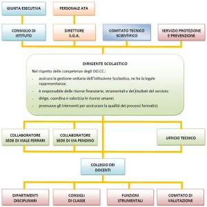 Organigramma